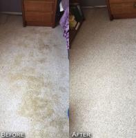 Lincoln Carpet Cleaning Pros LLC image 3